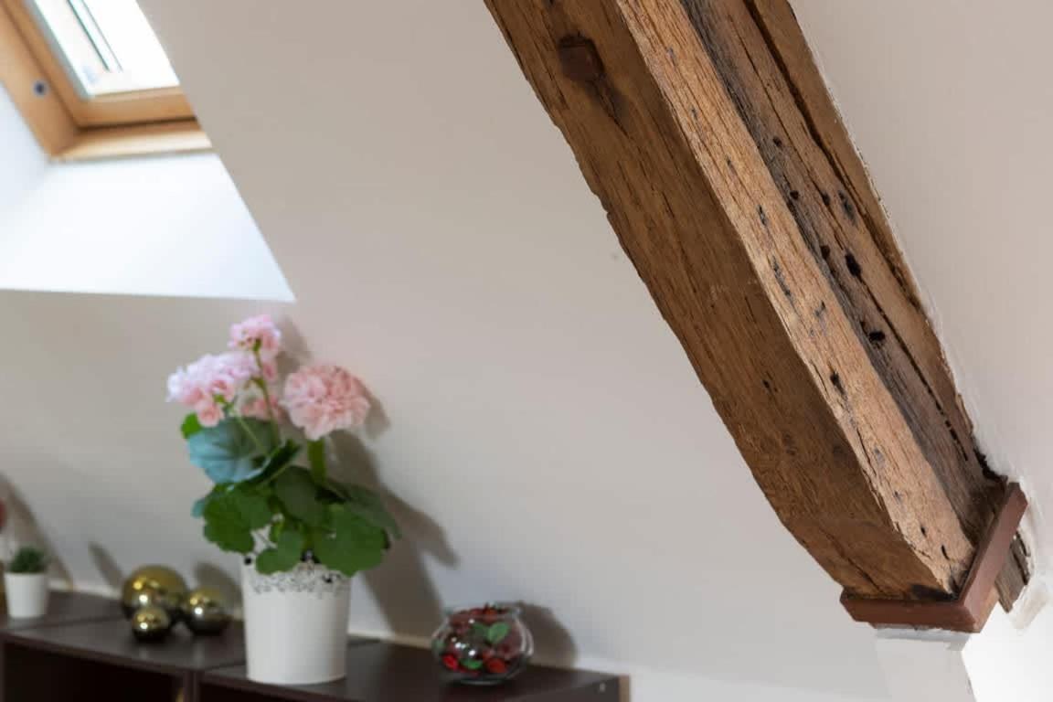 Le Ruellan Charmant Duplex Proche Plage Saint-Malo Luaran gambar